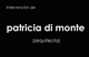 intervencin de patricia di monte  (arquitecta) del 24 de abril al 9 de mayo